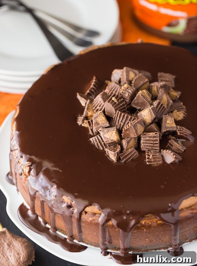 A chocolate and peanut butter dream, this decadent Reese Cheesecake features a chocolate crust, creamy peanut butter cheesecake filling, and a luscious chocolate ganache.