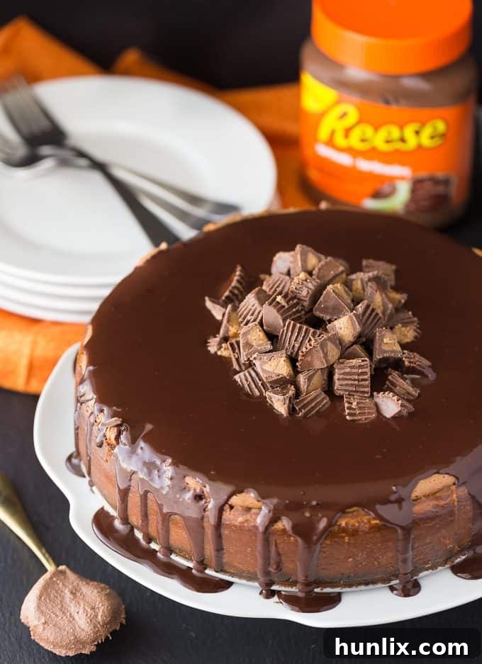 Preparing the chocolate cookie crust for a rich Reese Cheesecake.