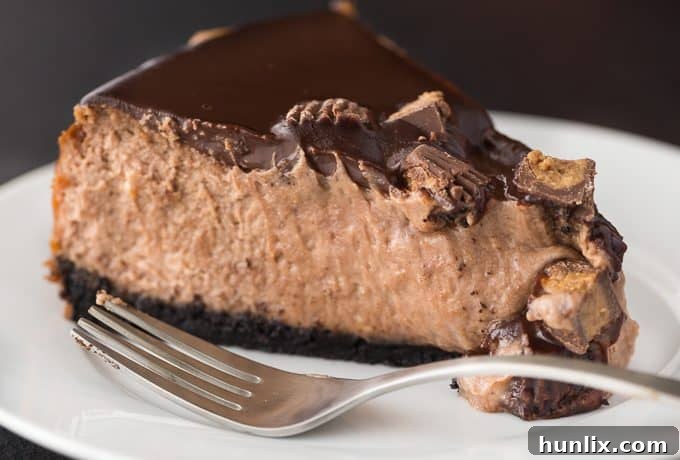 Smooth and creamy Reese cheesecake filling prepared with peanut butter chocolate spread, cream cheese, and sour cream.