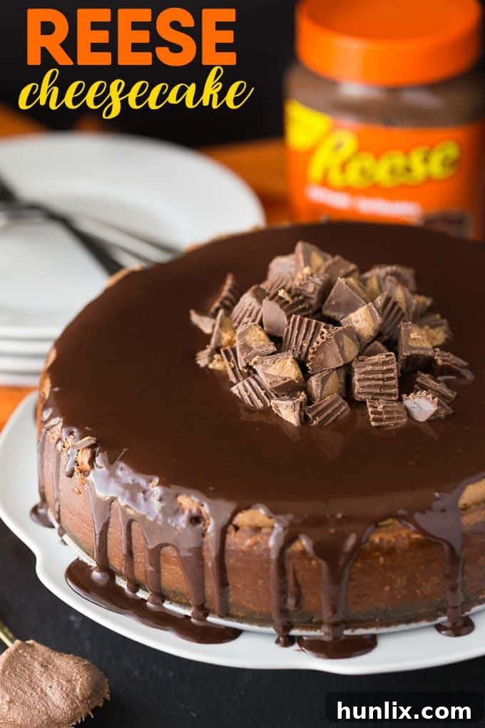 Finished Reese Cheesecake topped with glossy chocolate ganache and chopped Reese Peanut Butter Cups.