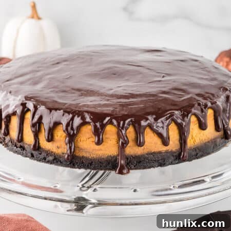 Chocolate pumpkin cheesecake on a platter.