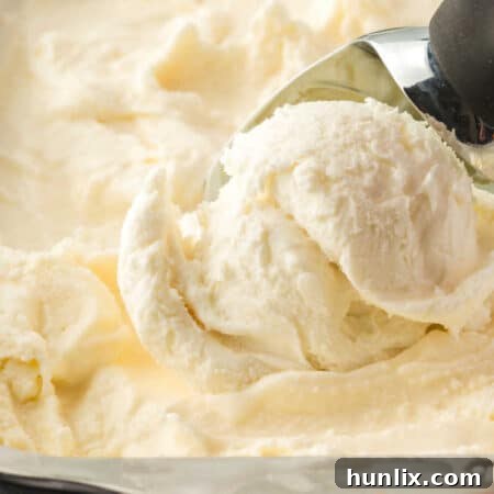 A tub of vanilla ice cream with an ice cream scoop.