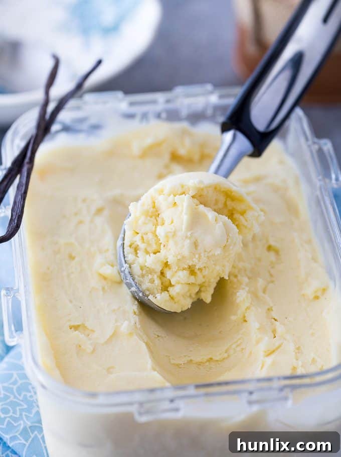 Vanilla Bean Ice Cream - A scoop of creamy, homemade vanilla bean ice cream, showcasing the flecks of real vanilla for an authentic taste.