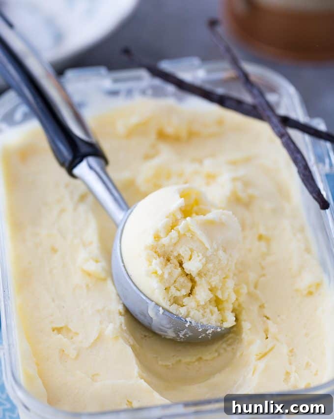 Close-up of Vanilla Bean Ice Cream, showing the beautiful vanilla specks infused throughout the creamy texture.