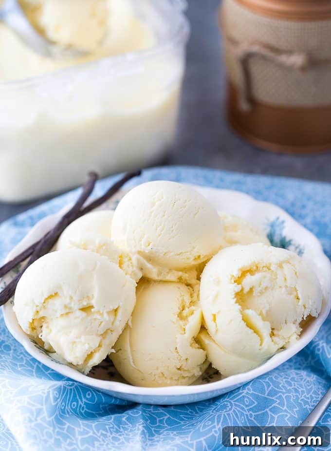 Ingredients for Vanilla Bean Ice Cream laid out on a kitchen counter, highlighting the whole vanilla bean.