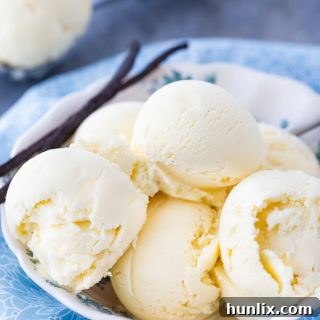 Vanilla Bean Ice Cream