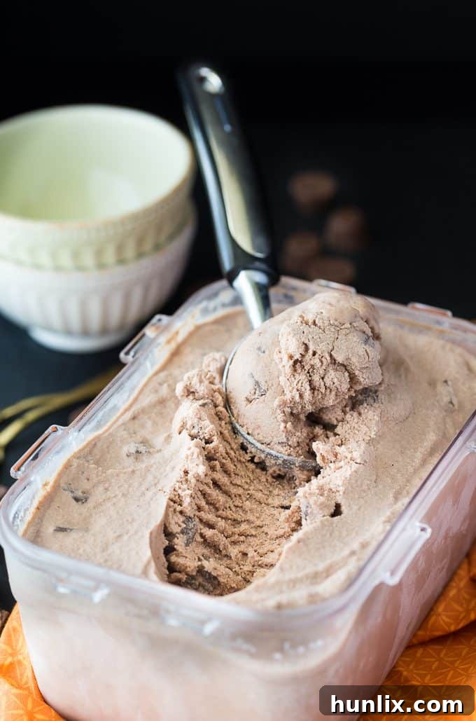 Reese's Peanut Butter Perfection 2 Rich and creamy Reese Ice Cream with visible peanut butter cup chunks, perfect for peanut butter and chocolate lovers.