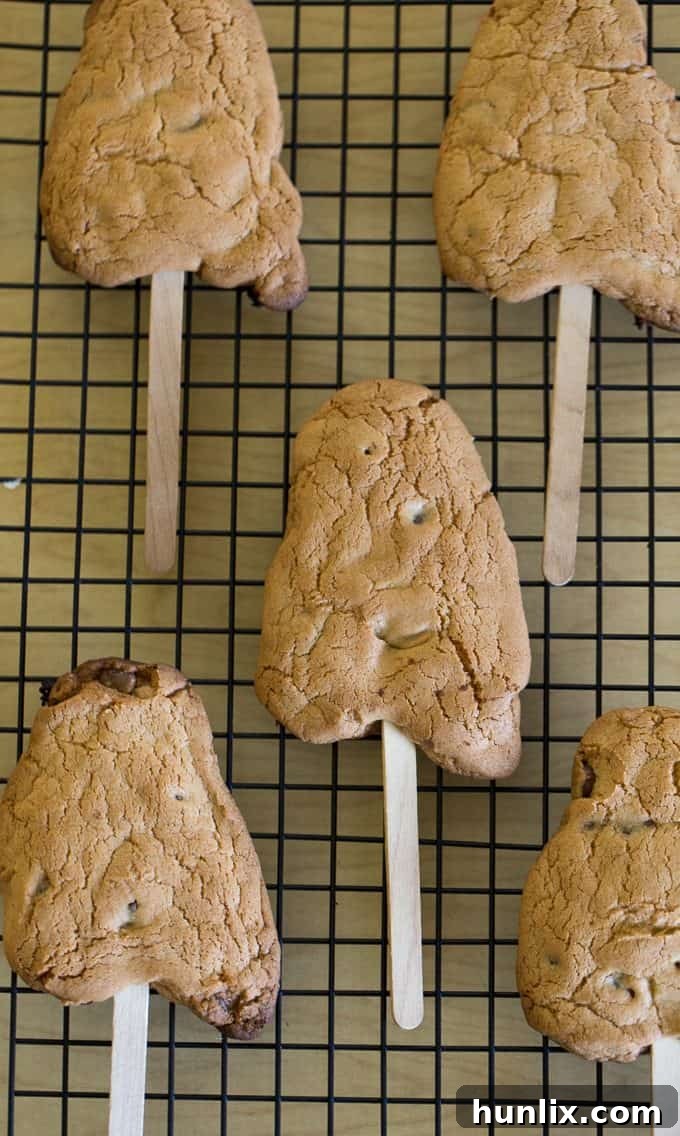 Ghost Cookie Pops 11 Ghost Cookies on a Stick - Spooky treats that are easy to make and fun to eat!