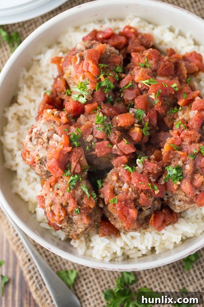 Delicious Meatballs & Rice served in a bowl, with the spiced tomato sauce and fluffy texture of the rice-infused meatballs visible.