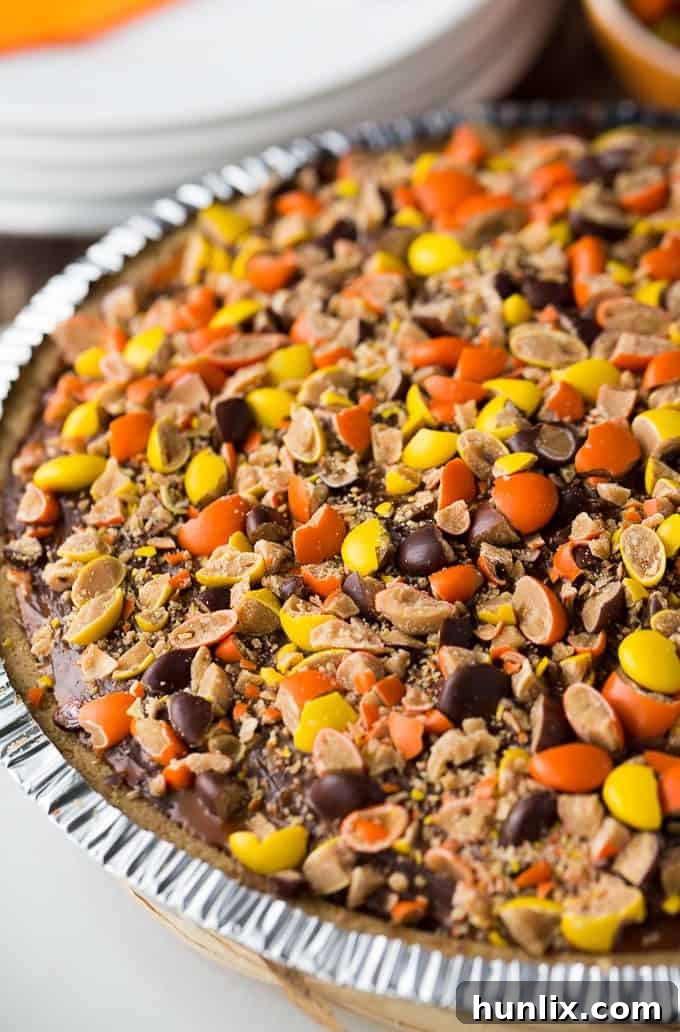REESE Pie - This decadent no-bake dessert is all about REESE! It has a thick rich layer of REESE Spreads followed by a layer of REESE Peanut Butter Cups. Top that with a creamy, smooth chocolate/peanut butter pudding layer and a REESE'S Pieces colourful finish. 