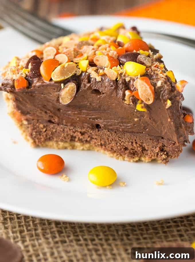 REESE Pie - This decadent no-bake dessert is all about REESE! It has a thick rich layer of REESE Spreads followed by a layer of REESE Peanut Butter Cups. Top that with a creamy, smooth chocolate/peanut butter pudding layer and a REESE'S Pieces colourful finish. 