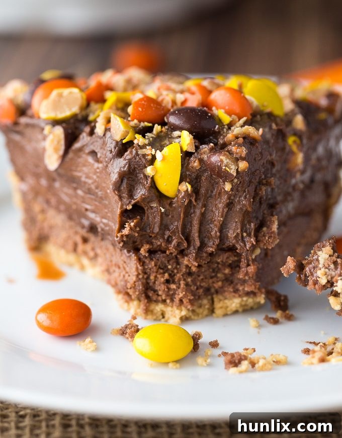 REESE Pie - This decadent no-bake dessert is all about REESE! It has a thick rich layer of REESE Spreads followed by a layer of REESE Peanut Butter Cups. Top that with a creamy, smooth chocolate/peanut butter pudding layer and a REESE'S Pieces colourful finish. 
