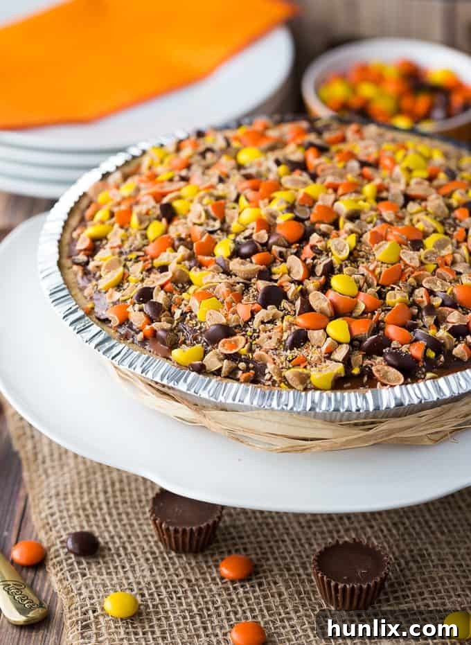 REESE Pie - This decadent no-bake dessert is all about REESE! It has a thick rich layer of REESE Spreads followed by a layer of REESE Peanut Butter Cups. Top that with a creamy, smooth chocolate/peanut butter pudding layer and a REESE'S Pieces colourful finish. 