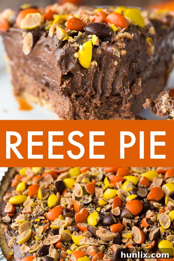 REESE Pie - This decadent no-bake dessert is all about REESE! It has a thick rich layer of REESE Spreads followed by a layer of REESE Peanut Butter Cups. Top that with a creamy, smooth chocolate/peanut butter pudding layer and a REESE’S Pieces colourful finish. 