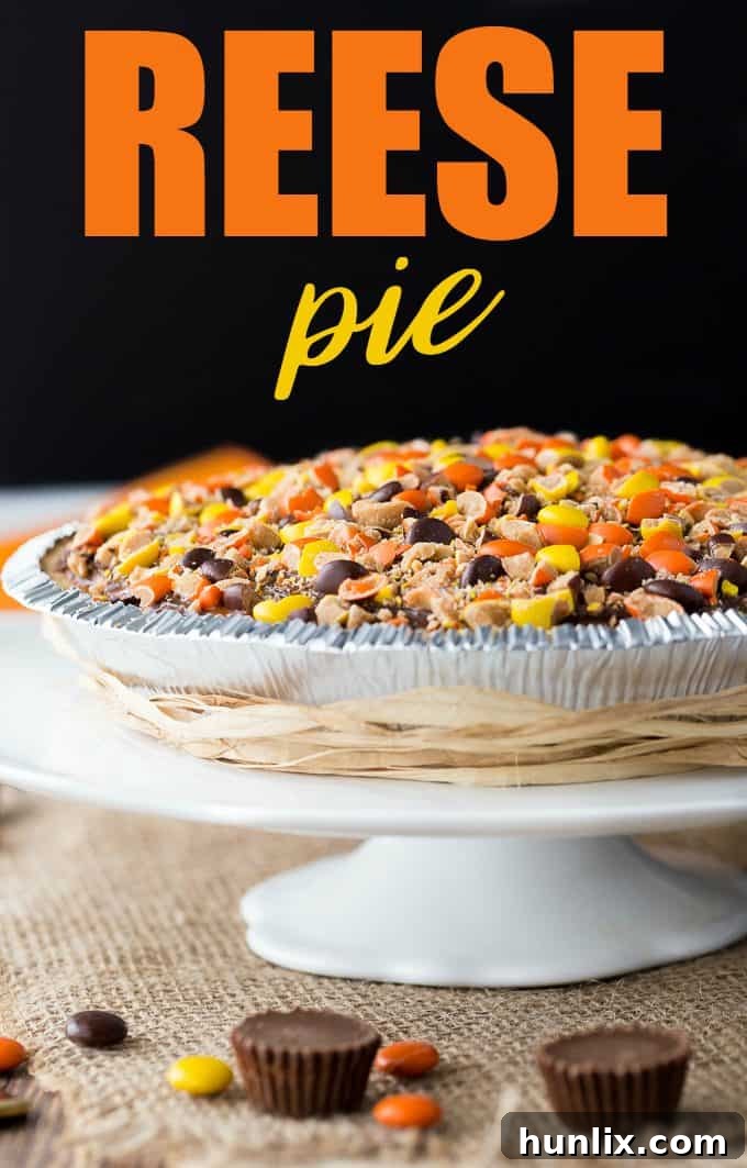 REESE Pie - This decadent no-bake dessert is all about REESE! It has a thick rich layer of REESE Spreads followed by a layer of REESE Peanut Butter Cups. Top that with a creamy, smooth chocolate/peanut butter pudding layer and a REESE’S Pieces colourful finish. 