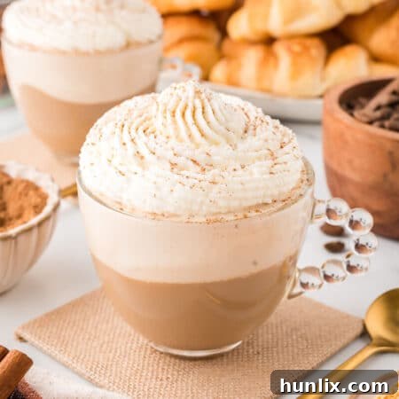 A mug of the homemade Cinnamon Cappuccino, garnished and ready.