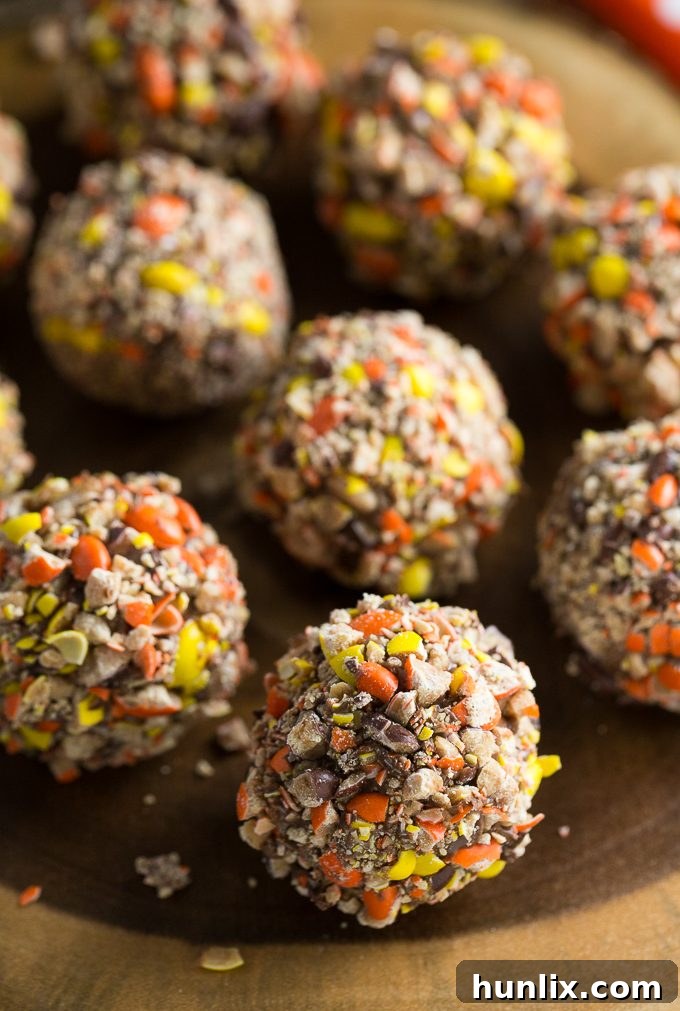 No-Bake Chocolate Peanut Butter Balls on a platter, highlighting their perfect shape and delicious coating, ideal for a super easy DIY snack gift.