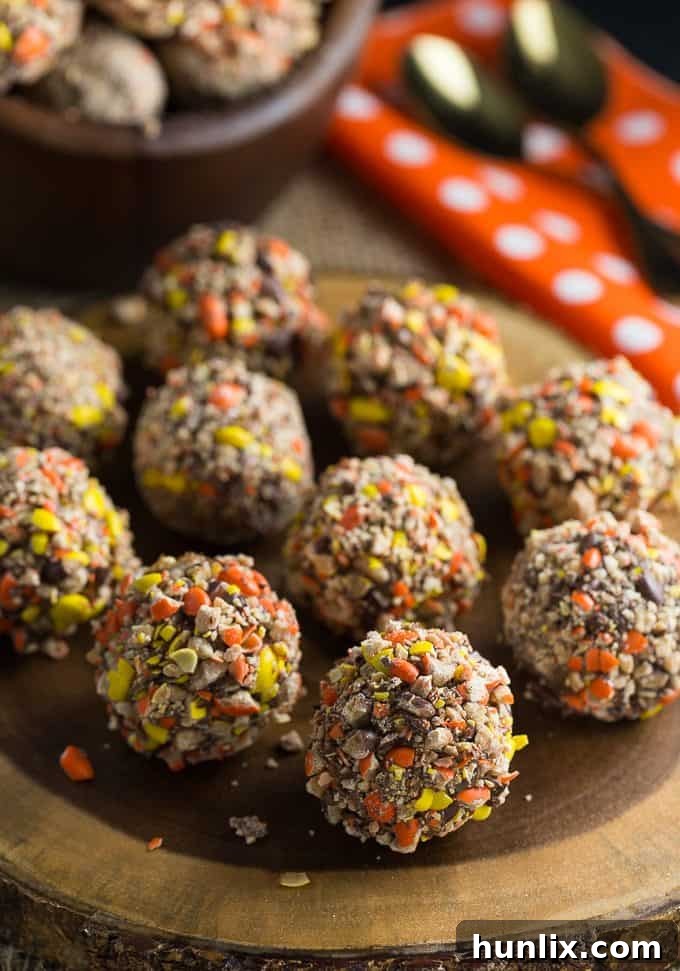 Beautifully arranged No-Bake Chocolate Peanut Butter Balls, showcasing their festive appeal as a simple yet elegant dessert or gift.