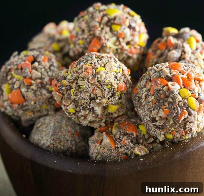 A close-up of a perfectly formed No-Bake Chocolate Peanut Butter Ball, ready to be enjoyed.