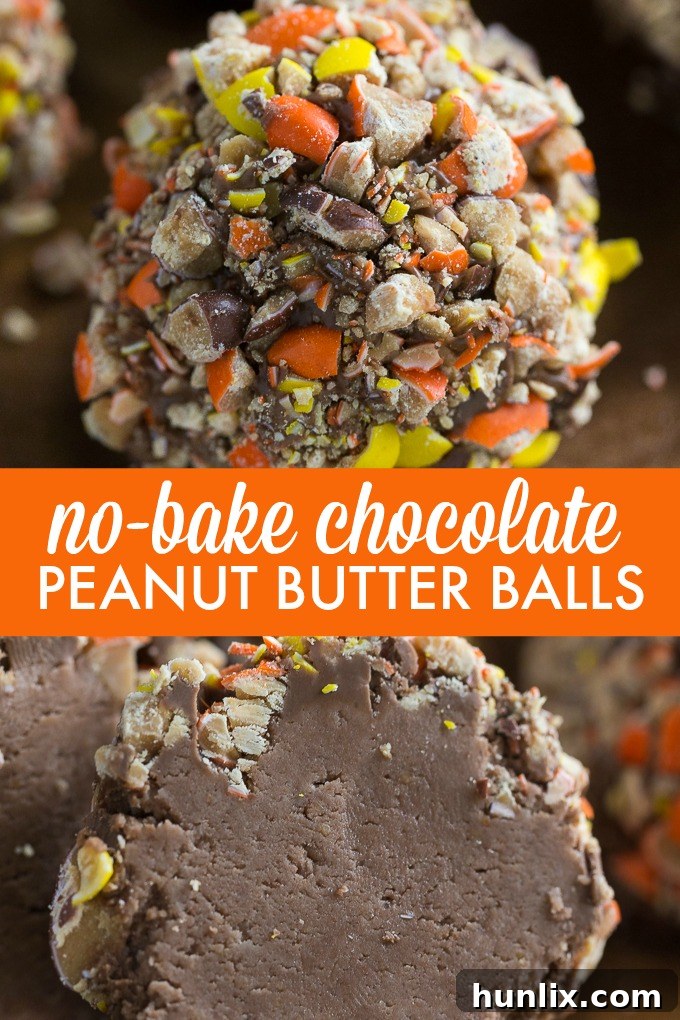 Collage of No-Bake Chocolate Peanut Butter Balls, showing different stages and presentations of this easy DIY dessert.