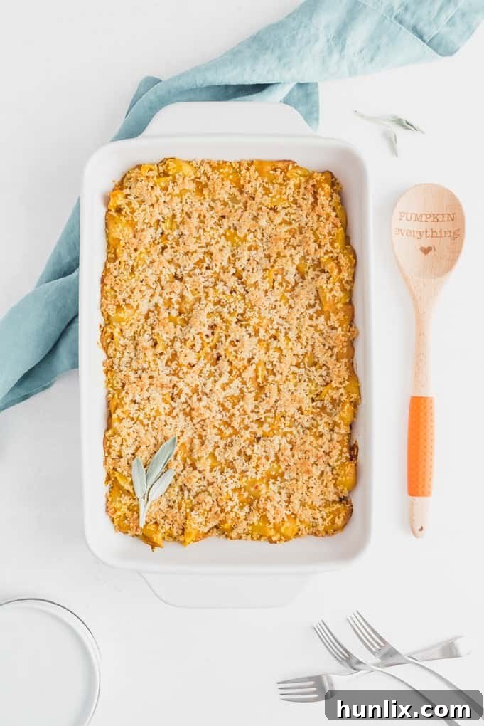 Golden Harvest Mac and Cheese 2 Creamy Pumpkin Macaroni & Cheese, a perfect fall comfort food with a golden breadcrumb topping.
