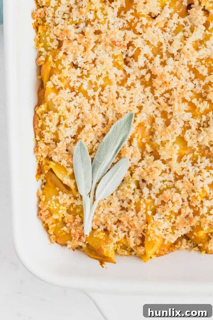 Golden Harvest Mac and Cheese 3 Close-up of baked Pumpkin Macaroni & Cheese showing its creamy texture and golden crust.