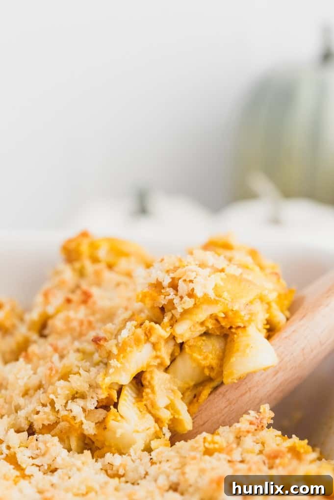 Golden Harvest Mac and Cheese 5 Baked Pumpkin Macaroni & Cheese, fresh from the oven with a crispy topping.
