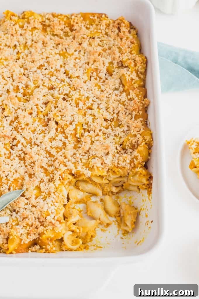 Golden Harvest Mac and Cheese 6 Portion of Pumpkin Macaroni & Cheese on a plate, garnished with fresh herbs.