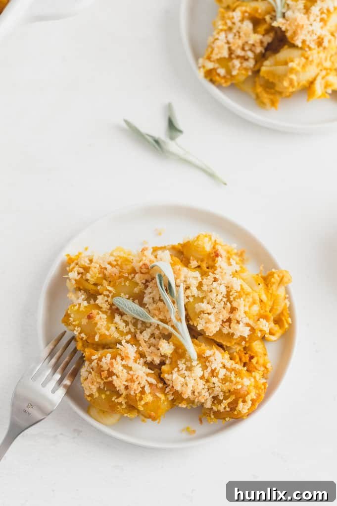 Golden Harvest Mac and Cheese 7 Scoop of Pumpkin Macaroni & Cheese with melted cheese.