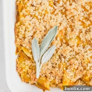 Golden Harvest Mac and Cheese 9 Pumpkin Macaroni & Cheese - Creamy, cheesy and absolutely delicious! If you haven't added pumpkin to your mac and cheese, you are missing out.