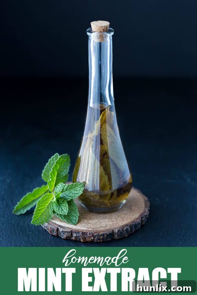 Homemade Mint Extract - This homemade extract is easy to make and makes a lovely DIY gift! A jar of fresh mint leaves steeping in vodka.