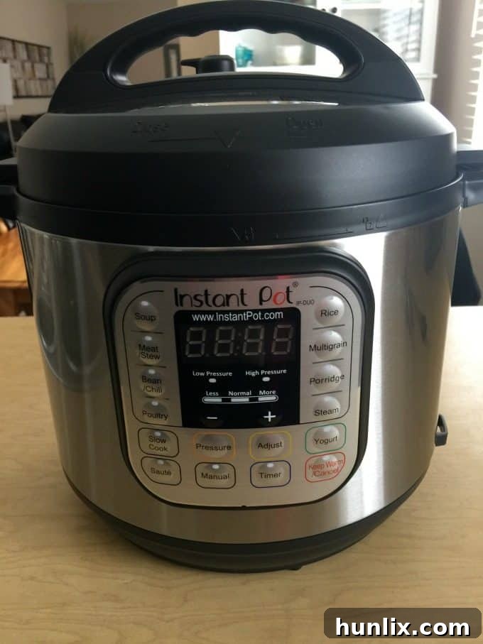 Holiday Gift Idea for Foodies - Instant Pot