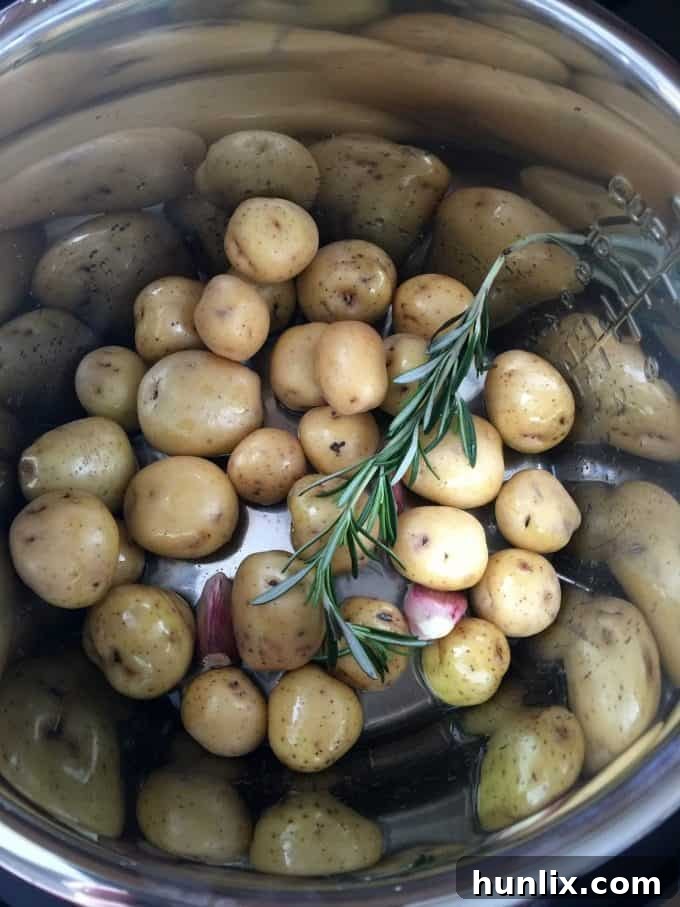 Holiday Gift Idea for Foodies - Instant Pot