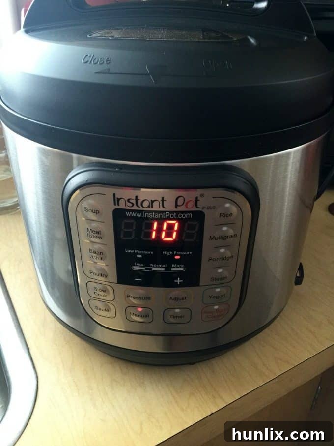 Holiday Gift Idea for Foodies - Instant Pot
