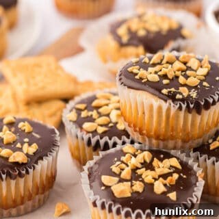 Mini Peanut Butter Cheesecakes with Chocolate Peanut Butter Sauce