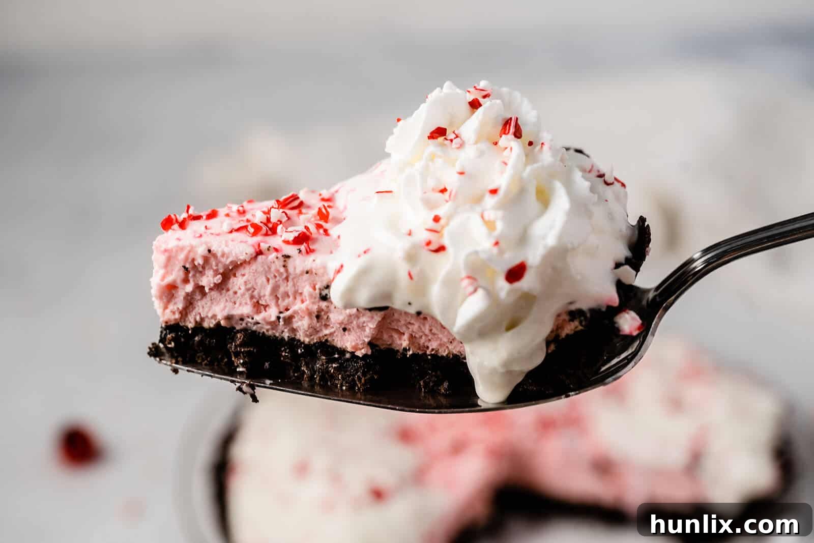 No-Bake Peppermint Pie - A close-up shot of the creamy pink filling and chocolate cookie crust, garnished with whipped cream and crushed peppermint candy.