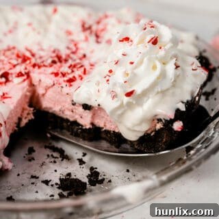 No-Bake Peppermint Pie - This dessert recipe will quickly become a holiday favorite! It combines subtle peppermint flavor with marshmallows, whipped cream and a chocolate sandwich cookie crust. Yum!
