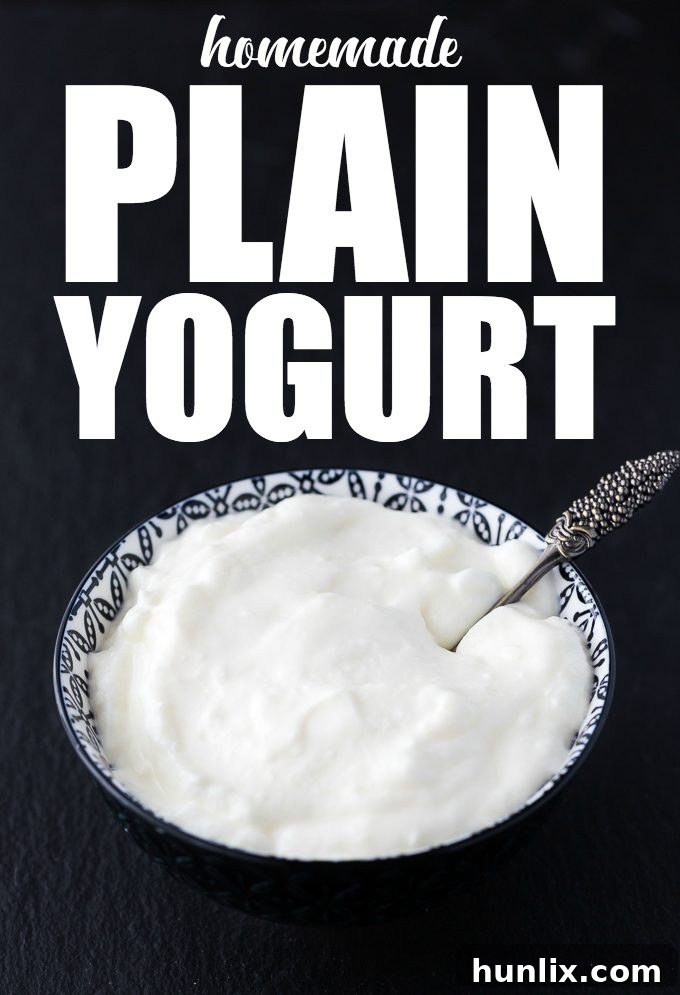 Wholesome Homemade Yogurt 2 Homemade Plain Yogurt - Thick, creamy and tastes better than the storebought stuff!