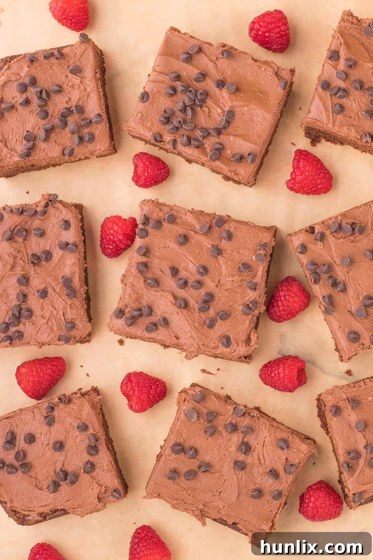 A pan of chocolate raspberry brownies, freshly cut into perfect squares, with scattered fresh raspberries enhancing the presentation.