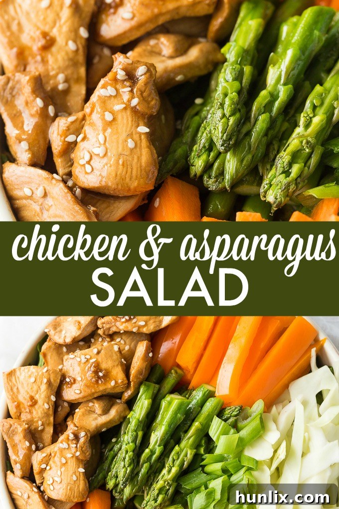 Spring Chicken and Asparagus Salad 6 Chicken & Asparagus Salad - A delicious spring salad packed with veggies, seasoned chicken and a tangy Sesame Ginger dressing.