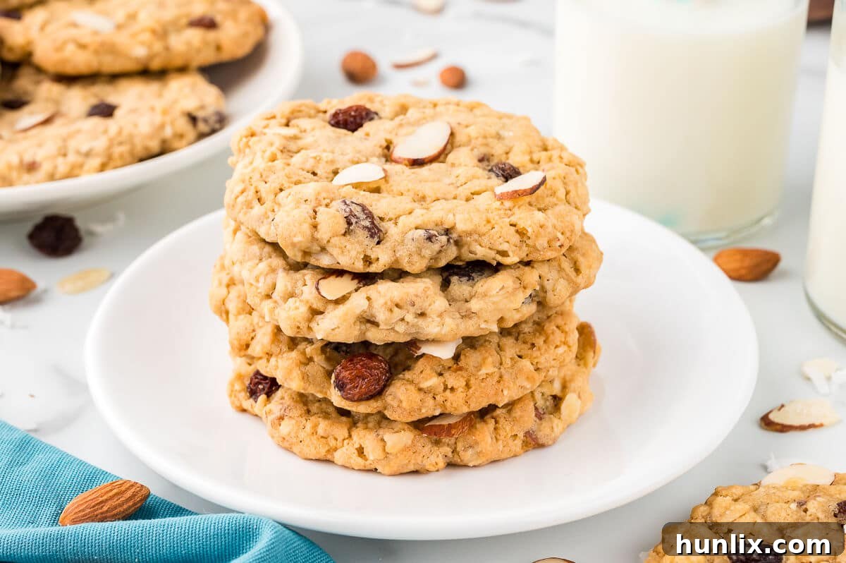 Hearty Trail Mix Oatmeal Cookies 12 A perfectly stacked pile of Trail Mix Oatmeal Cookies, ready to be enjoyed or stored.