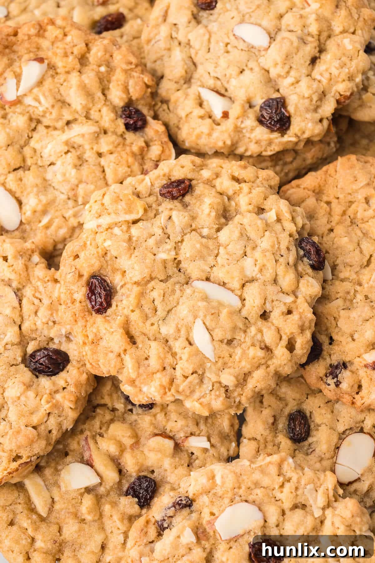 Hearty Trail Mix Oatmeal Cookies 9 A collection of freshly baked Trail Mix Oatmeal Cookies, perfectly golden and inviting, ready to be enjoyed.