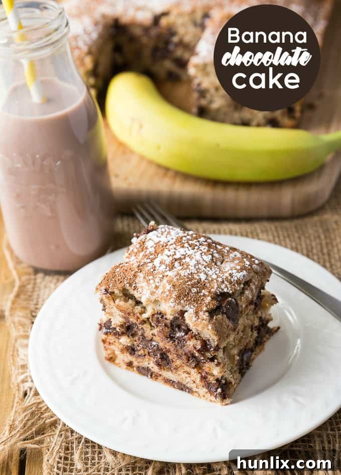 A full view of the Banana Chocolate Cake in the baking pan, dusted with sugar and cocoa.