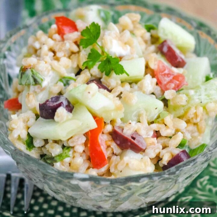 Delectable Mediterranean pearl barley salad with creamy goat cheese, offering a unique and flavorful grain salad option.