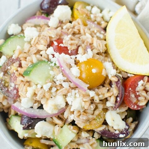 Greek Farro Salad with chewy farro, crisp cucumber, juicy tomatoes, kalamata olives, red onion, and feta cheese, tossed in a light lemony dressing.