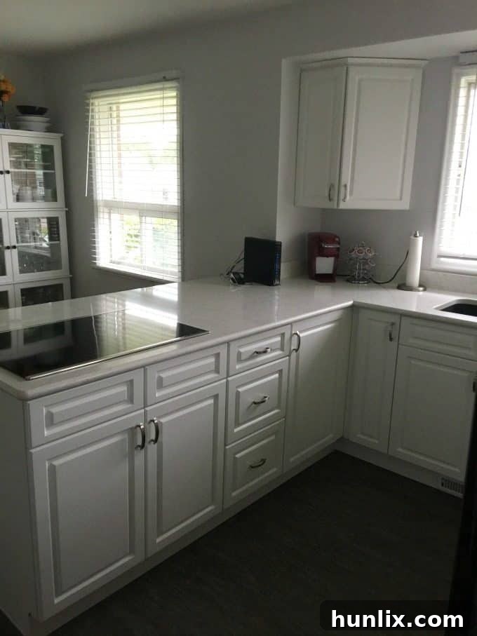 My Kitchen After Renovations - Beautiful Quartz Countertops and New Cabinets