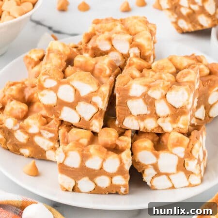 A plate of peanut butter fudge with marshmallows.