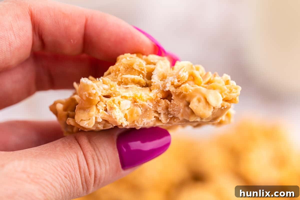 Effortless Butterscotch Treats 6 A hand holding a delicious no-bake butterscotch cookie with a bite taken out, highlighting its chewy interior.