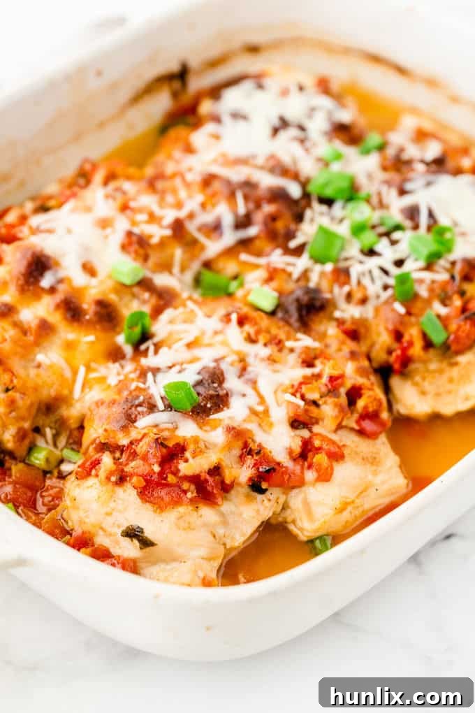 Salsa Chicken - The easiest Mexican chicken recipe! Smother your favorite cut of chicken with tomatoes, peppers and spices for a quick and easy family-friendly dinner.