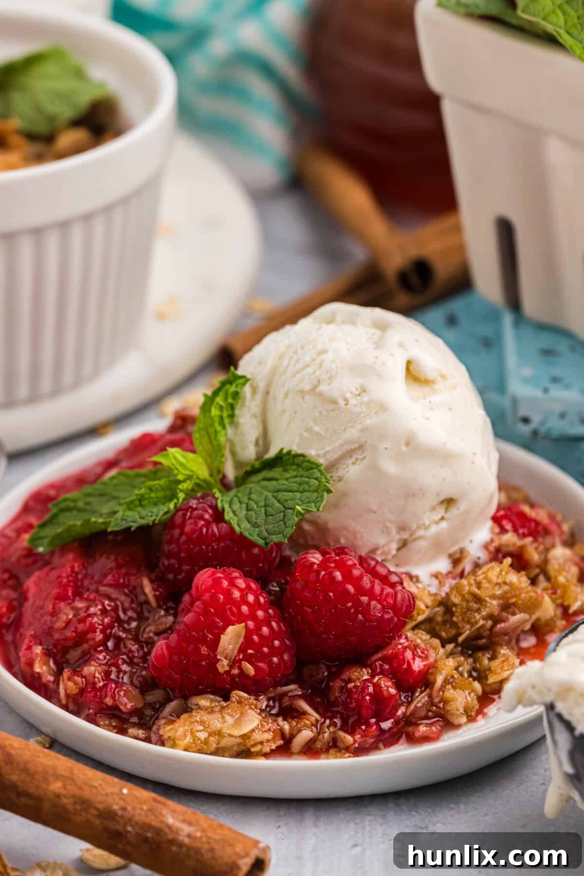Individual raspberry crisp on a plate, topped with vanilla ice cream and garnished with mint leaves.